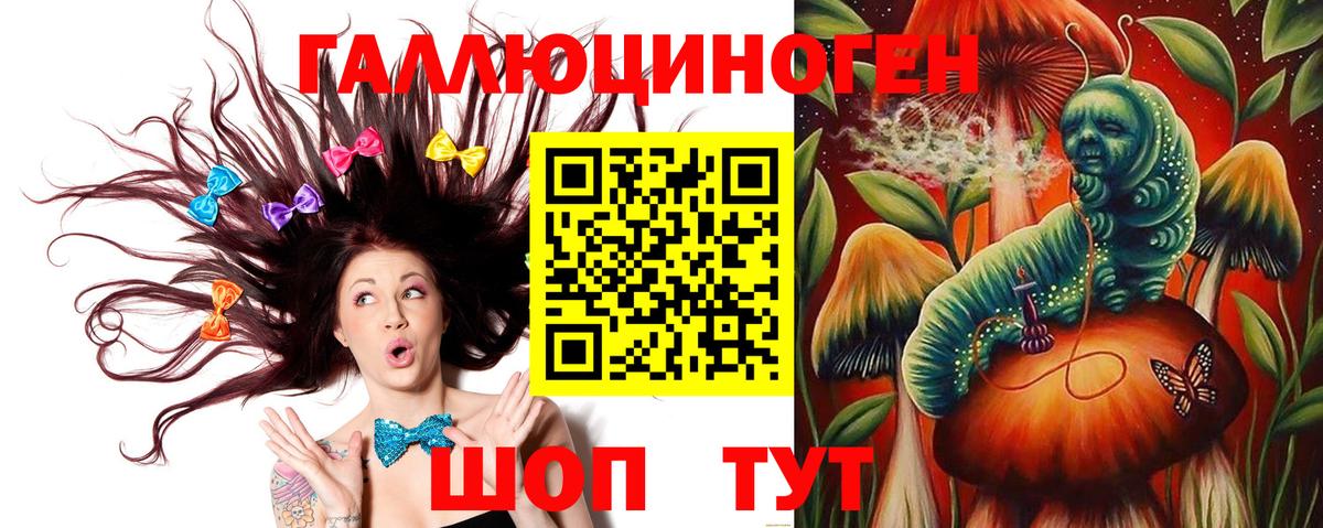 закладка  Вход с VPN  Курчатов  Псилоцибиновые грибы Magic Shrooms  Галлюциногенные грибы Psilocybe 
