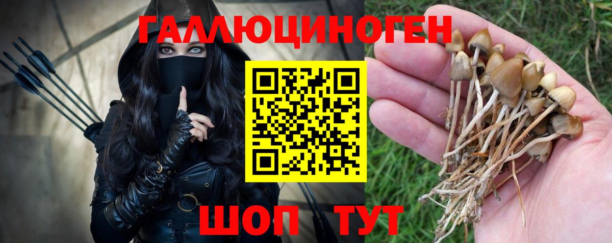 Псилоцибиновые грибы прущие грибы Курчатов